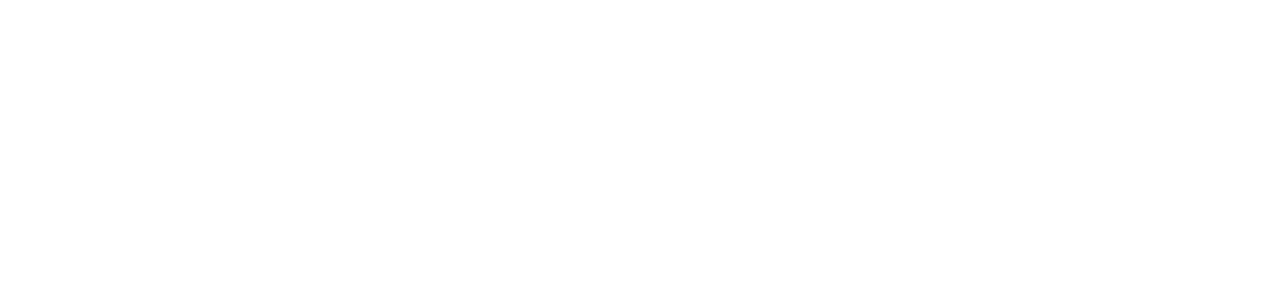 AE Studio